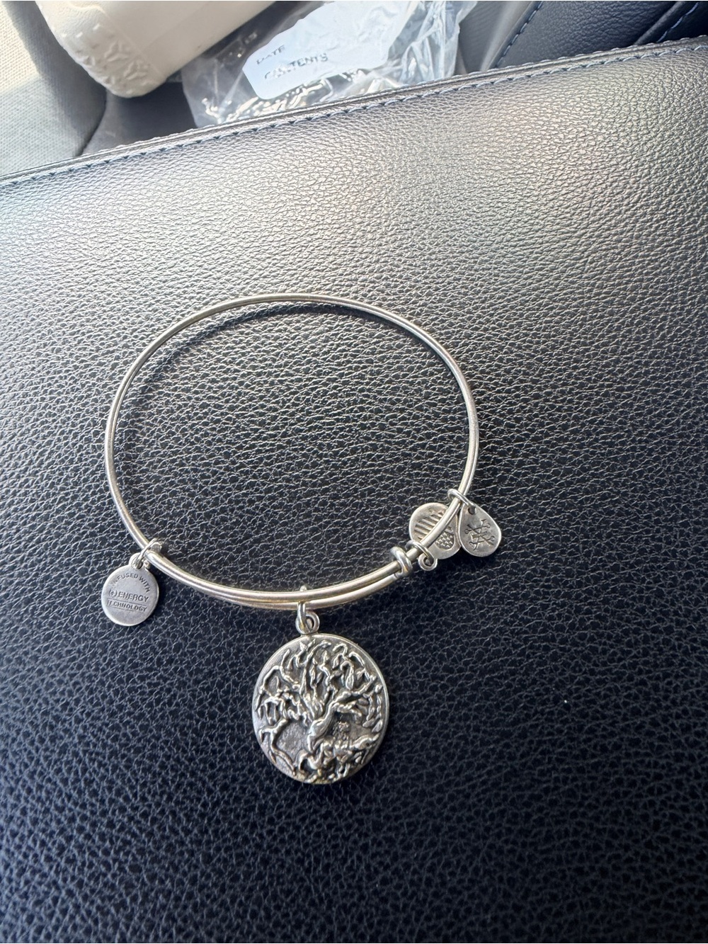 Alex and Ani Mixed Metal Charm Bangle Set in Silver and Rose-Gold Tones - Picture 5 of 11